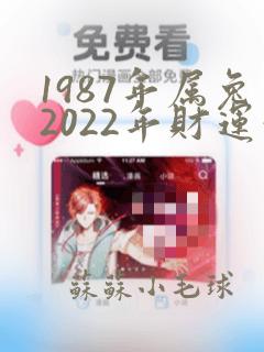 1987年属兔2022年财运如何