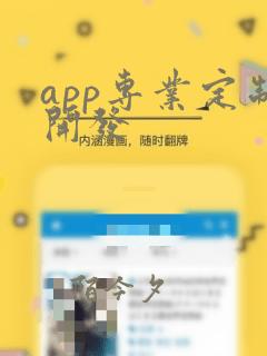 app专业定制开发