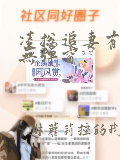 凌总追妻有点甜无弹窗