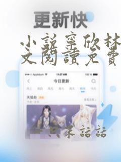 小说宁欣林峰全文阅读免费