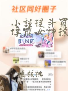 小说从斗罗开始俘获女神徐然完全版