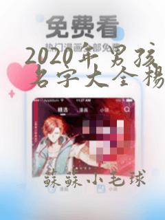 2020年男孩名字大全杨