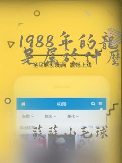 1988年的龙是属于什么命