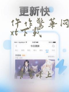 仵作惊华网盘txt下载