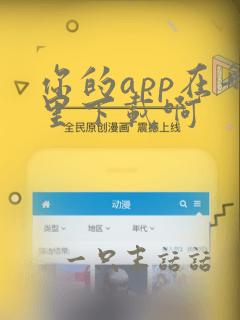 你的app在哪里下载啊