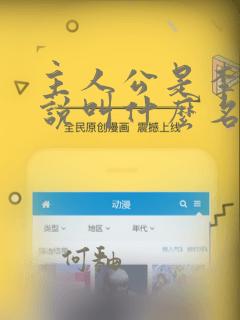 主人公是李辰小说叫什么名字