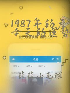 1987年的兔今天的运势