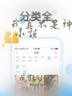 我真不是神仙啊 小说