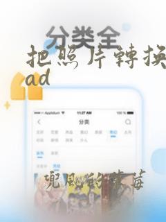 把照片转换成cad