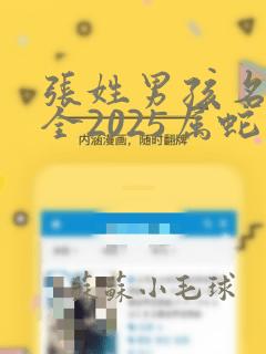 张姓男孩名字大全2025属蛇