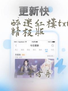 醉迷红楼txt精校版