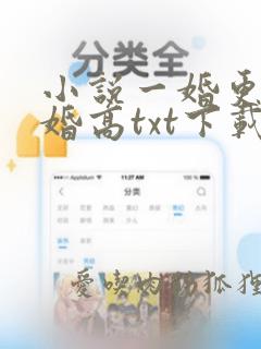 小说一婚更比一婚高txt下载