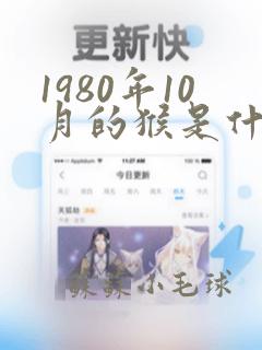 1980年10月的猴是什么命