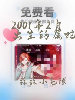 2001年2月出生的属蛇男命