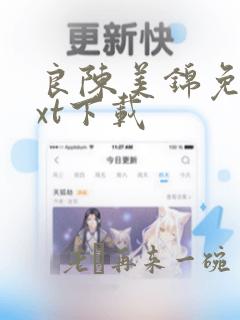 良陈美锦免费txt下载