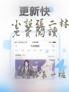 小说张二林王慧免费阅读