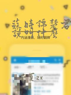 苏时锦楚君彻小说叫什么