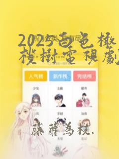 2025白色橄榄树电视剧完整版免费观看