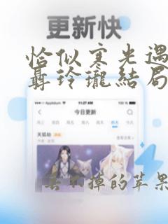 恰似寒光遇骄阳聂玲珑结局