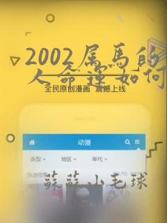 2002属马的人命运如何