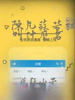 陈凡苏若初小说叫什么名