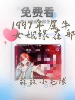 1997年属牛女姻缘在哪年最旺盛