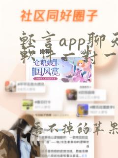 轻言app聊天软件一对一