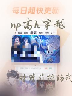 np高h穿越