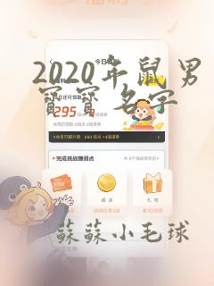 2020年鼠男宝宝名字