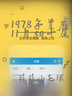 1978年农历11月初十属于什么命