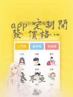 app 定制开发 价格