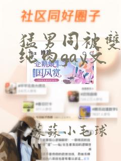 猛男同被双龙h纯肉gay文