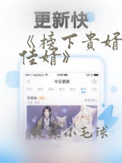 《榜下贵婿榜上佳婿》