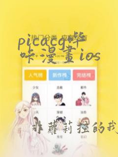 picacg哔咔漫画ios