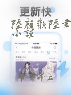 陆颜欢陆聿珩的小说