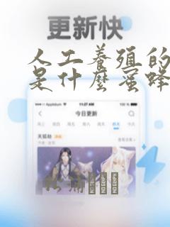 人工养殖的蜜蜂是什么蜜蜂