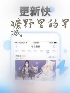 旷野里的星无删减