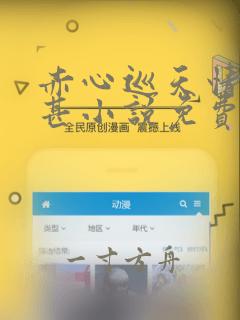 赤心巡天情何以甚小说免费看app