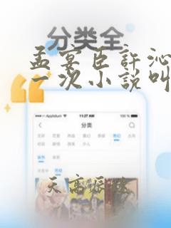 孟宴臣许沁的第一次小说叫什么