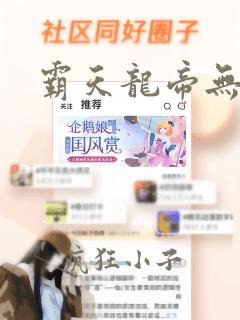 霸天龙帝无弹窗