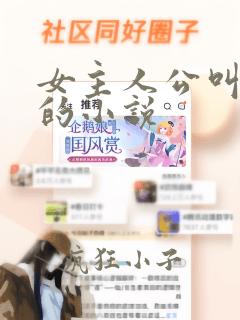 女主人公叫江月的小说