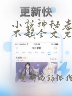 小说神秘老公惹不起全文免费阅读