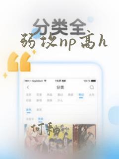 弱攻np高h