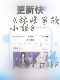 《林峰宁欣官场小说》