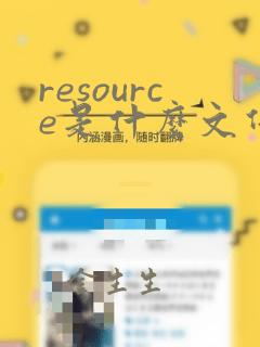 resource是什么文件夹可以删除吗