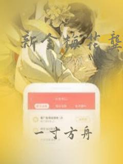 新金梅花龚玥菲