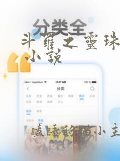 斗罗之灵珠神剑 小说