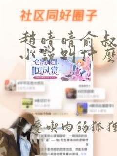 赵晴晴俞叔原著小说叫什么名字