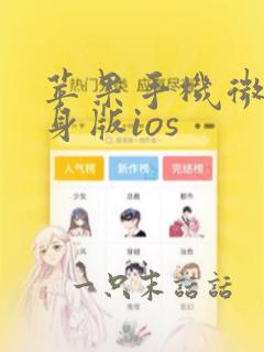 苹果手机微信分身版ios