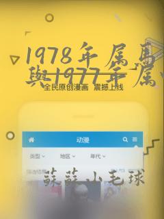 1978年属马与1977年属蛇的是否相配